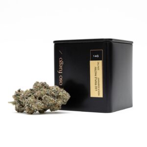 LSO Triple Pastry cannabis strain. A light green cannabis bud sits next to a black tin container.