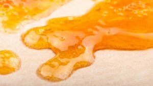 Freshly extracted live rosin on sheet of paper. Orange liquid substance with bubbles on its surface.