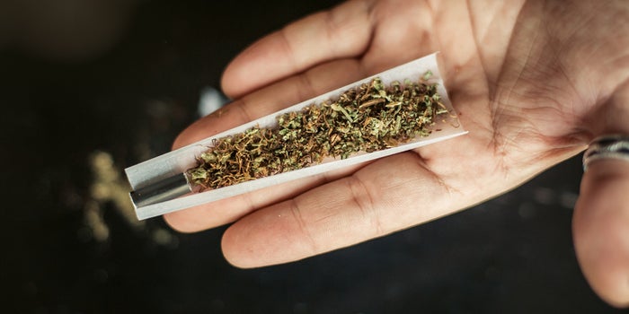 A hand holding up a half rolled joint with a black filter on the end of it.