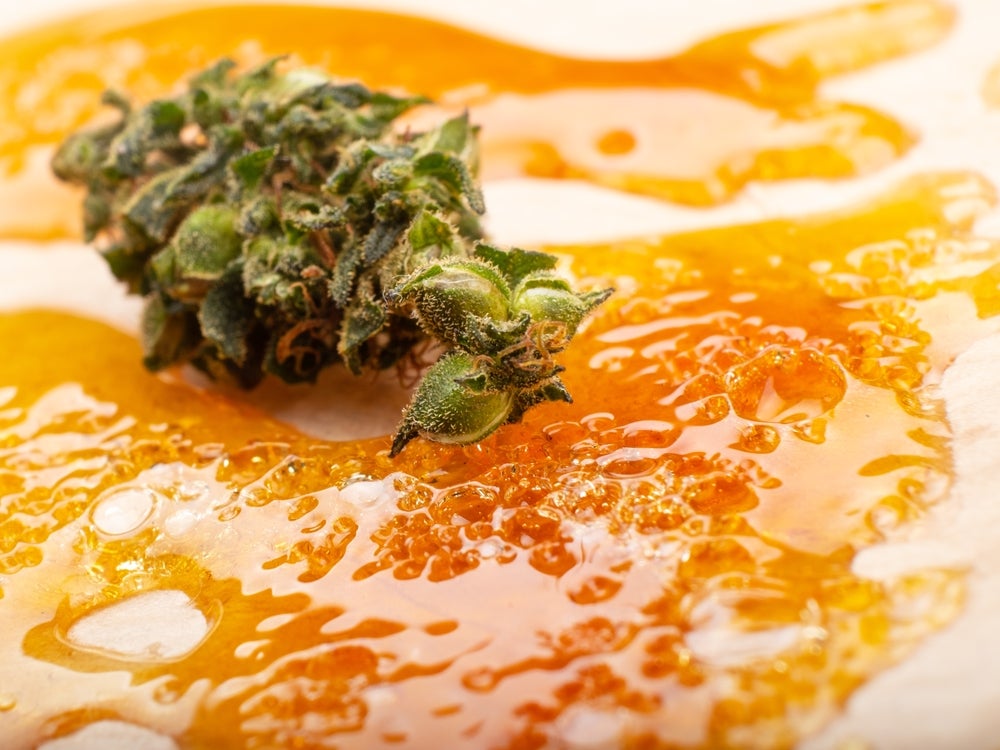 Thc distillate surrounding marijuana bud. Orange liquid substance oozes around the cannabis bud.