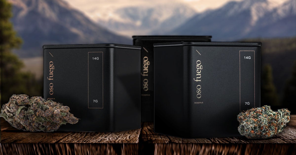 Kootenay Botanicals Oso Fuego review article featured photo. Three high-quality tins sit in front of a mountain range.