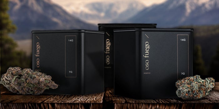 Kootenay Botanicals Oso Fuego review article featured photo. Three high-quality tins sit in front of a mountain range.