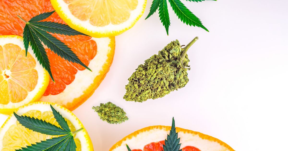 lemon, oranges, cannabis leaves and a cannabis bud sitting on a white background.