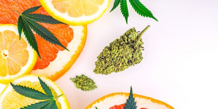 lemon, oranges, cannabis leaves and a cannabis bud sitting on a white background.