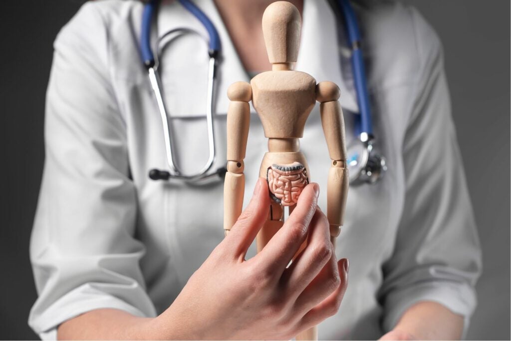 Female doctor holding a visual representation of the stomach on a wooden doll .