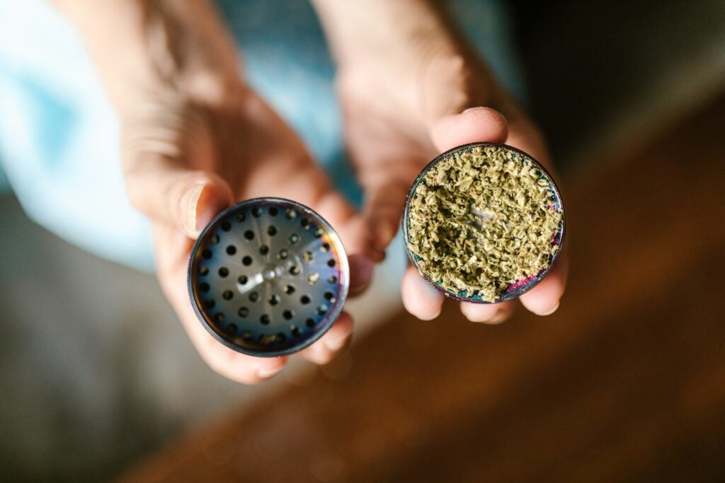 Best Weed Strains trim Cannabis Landscape hands