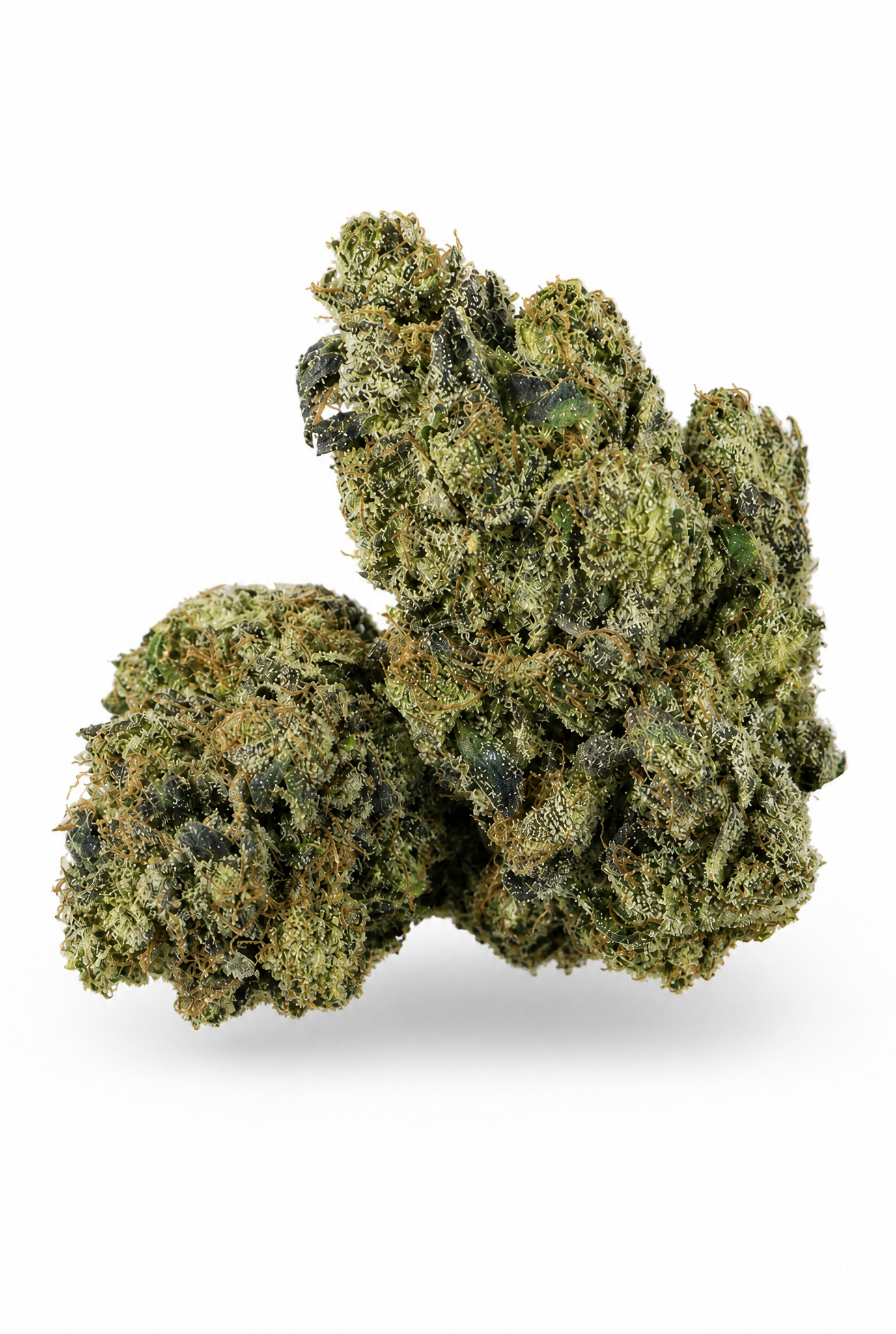 Close-up of Frost Factory cannabis showcasing frosted trichomes and vibrant green flower