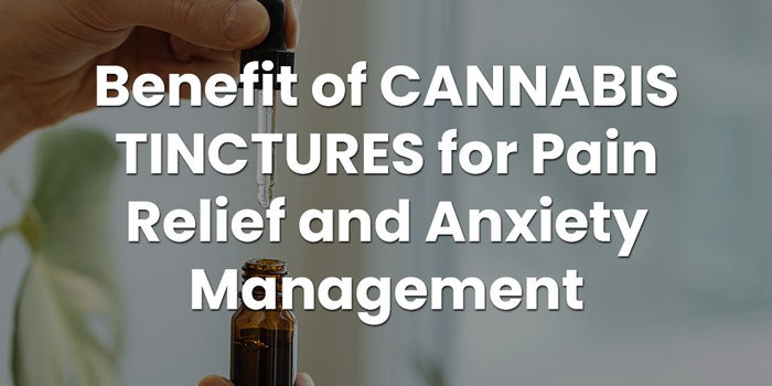 Cannabis Tinctures for Pain and Anxiety