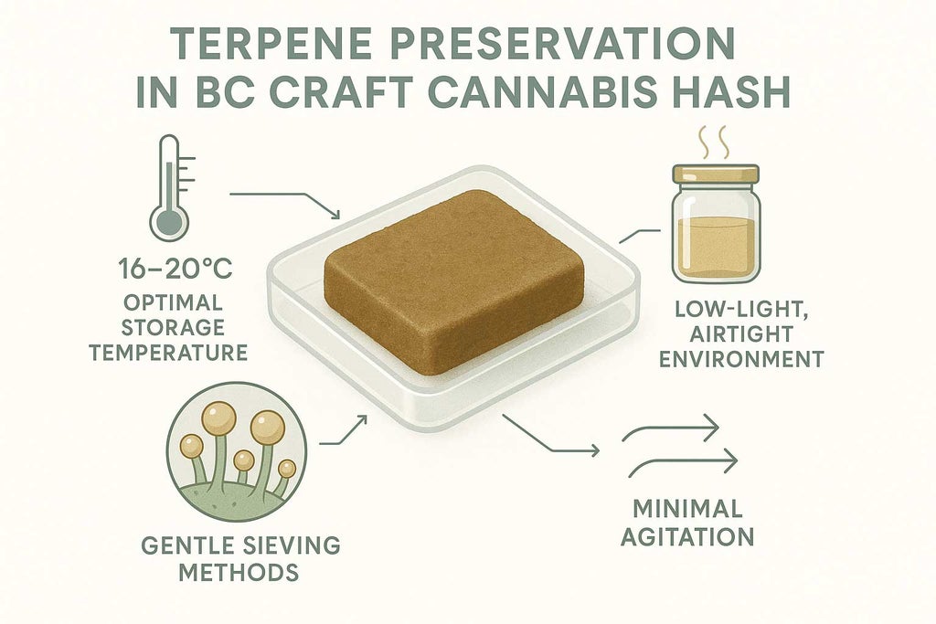 Educational infographic showing BC craft cannabis hash on a frosted tray, surrounded by icons for temperature, airflow, sealed jars, and trichomes. Callouts highlight optimal storage conditions and handling techniques for terpene preservation. Clean, scientific design uses sage green, gold, and parchment white tones.