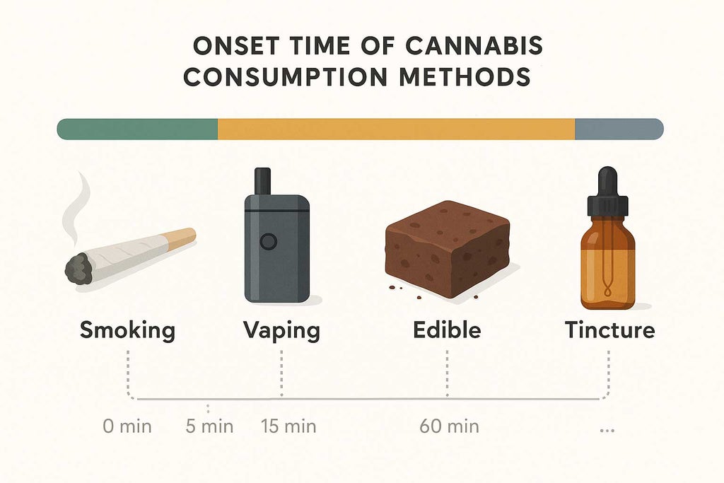 Infographic showing onset times for smoking, vaping, edibles, and tinctures using labeled vector icons, colored time bars, and a shared timeline.