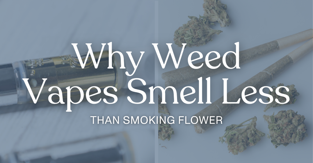 Why Weed Vapes Smell Less Than Smoking Flower