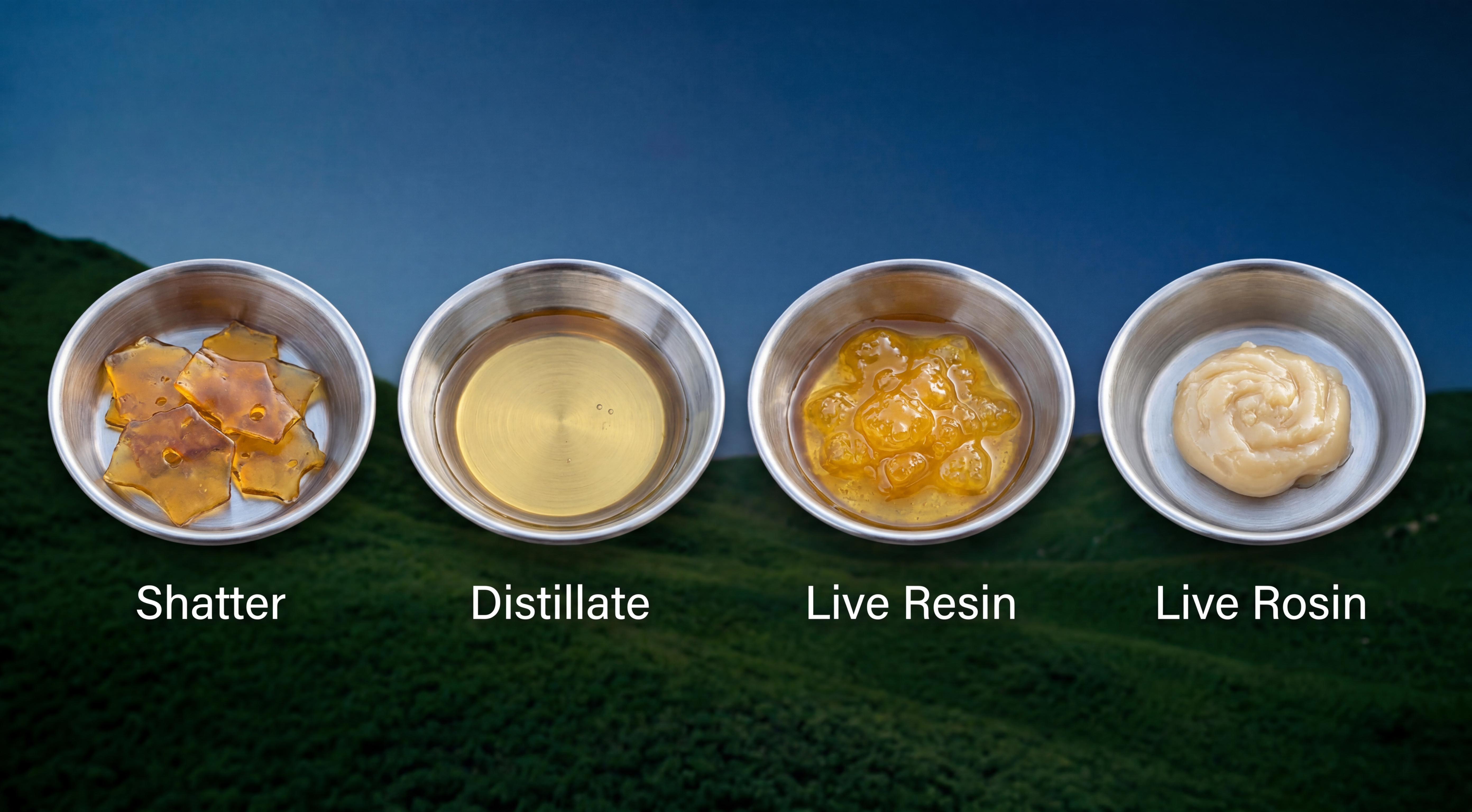 Cannabis concentrates compared: shatter, distillate, live resin, and live rosin