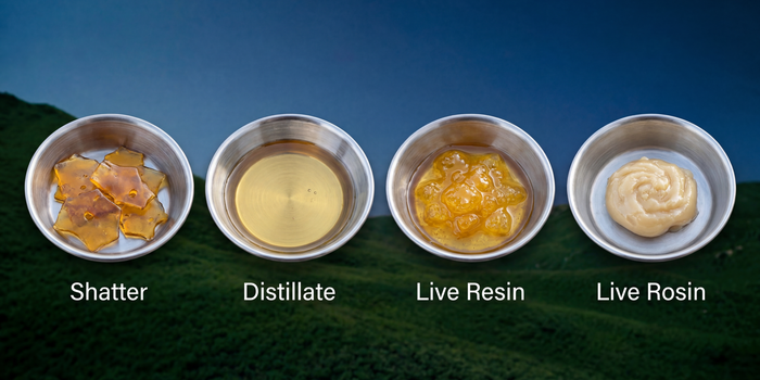 Cannabis concentrates compared: shatter, distillate, live resin, and live rosin