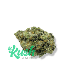 Cereal Milk | Hybrid | Kush Station | Buy Weed Online