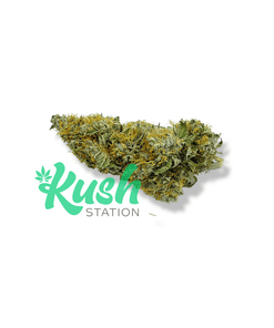 El Jefe | Indica | Kush Station | Buy Weed Online