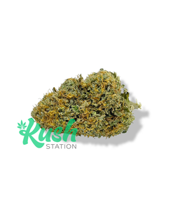 Blueberry | Indica | Kush Station | Buy Weed Online