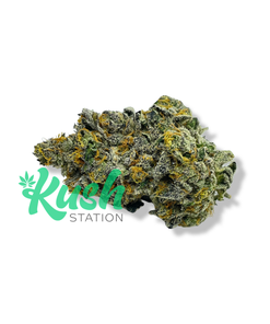 Tang Breath | Sativa | Kush Station | Buy Weed Online