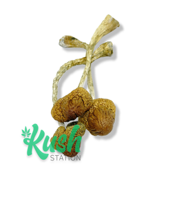 MZ | Magic Mushrooms | Kush Station | Buy Magic Mushrooms Online