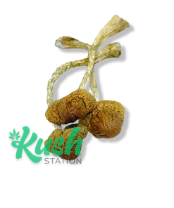 MZ | Magic Mushrooms | Kush Station | Buy Magic Mushrooms Online