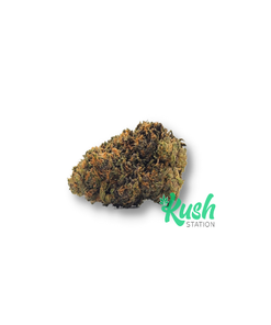 Runtz strain | Kush Station