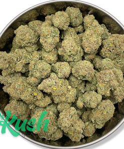 Lemon Sour Diesel | Sativa | Kush Station | Buy Weed Online