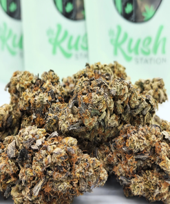Black Tuna| Indica | Kush Station | Buy Weed Online In Canada
