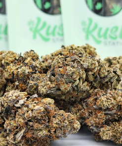 Black Tuna| Indica | Kush Station | Buy Weed Online In Canada