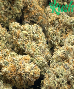 Modified Grapes | Hybrid | Kush Station | Buy Weed Online In Canada