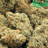 Modified Grapes | Hybrid | Kush Station | Buy Weed Online In Canada