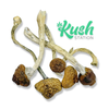 Mexi | Mushroom | Kush Station | Buy Weed online In Canada