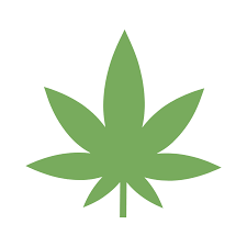 Beginner's Guide To Grinding Cannabis: 5 Super Simple Methods