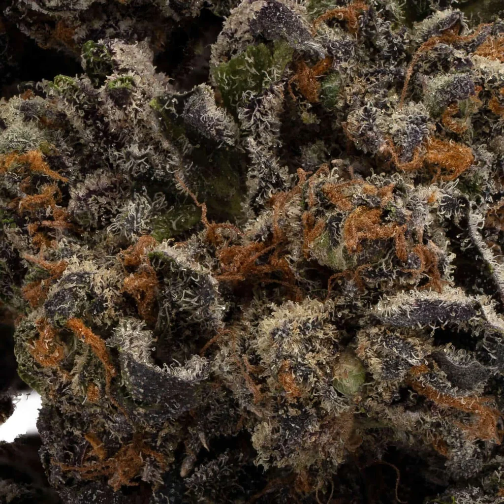 peanut butter rockstar strain