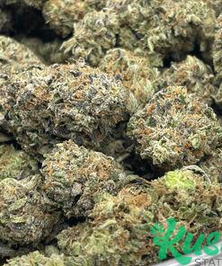 Bluefin Tuna | Indica | Kush Station | Buy Weed Online In Canada