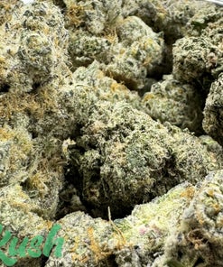 Grape Soda | Indica | Kush Station | Buy Weed Online In Canada