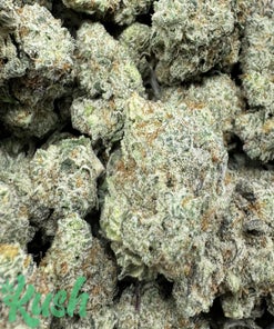 Purple God | Indica | Kush Station | Buy Weed Online In Canada