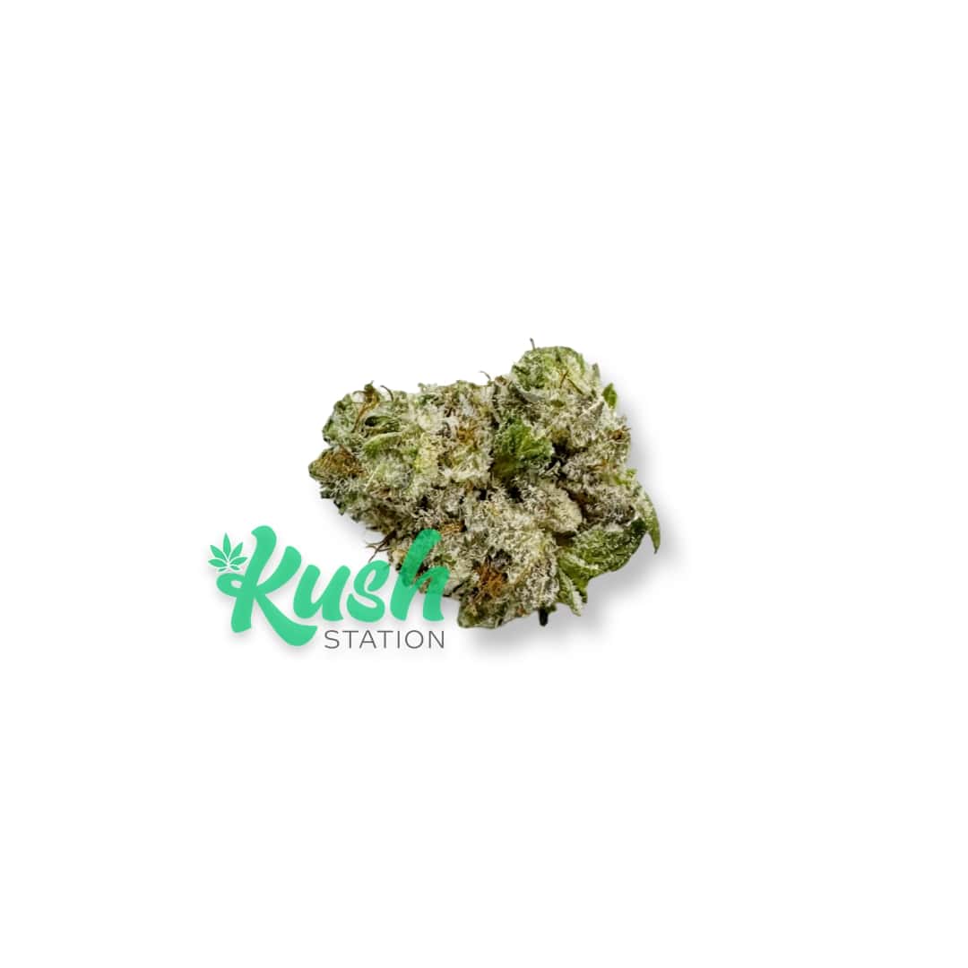 Gary Payton | Hybrid | Kush Station | Buy Weed Online In Canada