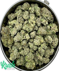 Gary Payton | Hybrid | Kush Station | Buy Weed Online In Canada