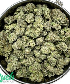 Gary Payton | Hybrid | Kush Station | Buy Weed Online In Canada