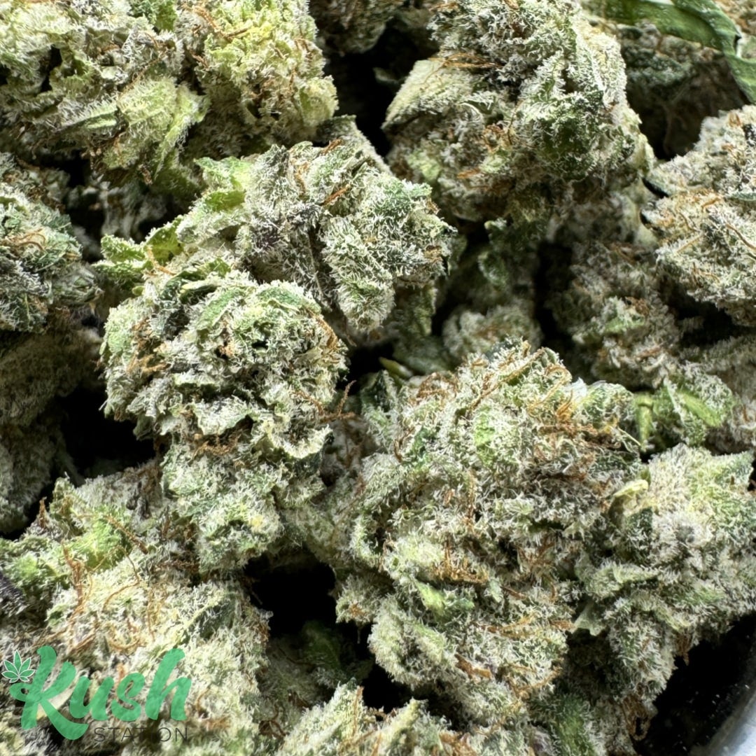 Gary Payton | Hybrid | Kush Station | Buy Weed Online In Canada