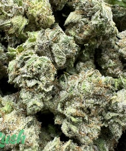 Gary Payton | Hybrid | Kush Station | Buy Weed Online In Canada