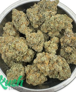 White Tahoe| Indica | Kush Station | Buy Weed Online In Canada