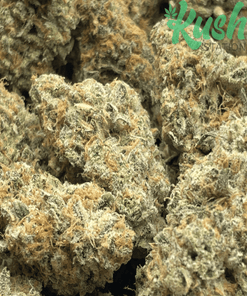 Modified Grapes | Hybrid | Kush Station | Buy Weed Online In Canada