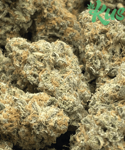 Modified Grapes | Hybrid | Kush Station | Buy Weed Online In Canada