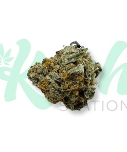 Jack Frost | Hybrid | Kush Station | Buy Weed Online In Canada