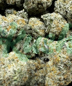 Jack Frost | Hybrid | Kush Station | Buy Weed Online In Canada