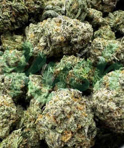 Pina Colada | Hybrid | Kush Station | Buy Weed Online In Canada