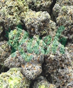 91 Octane | Indica | Kush Station | Buy Weed Online In Canada