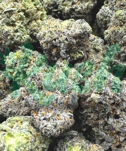 91 Octane | Indica | Kush Station | Buy Weed Online In Canada