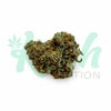 Congo Bongo | Sativa | Kush Station | Buy Weed Online In Canada