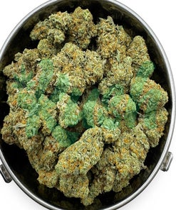 Congo Bongo | Sativa | Kush Station | Buy Weed Online In Canada